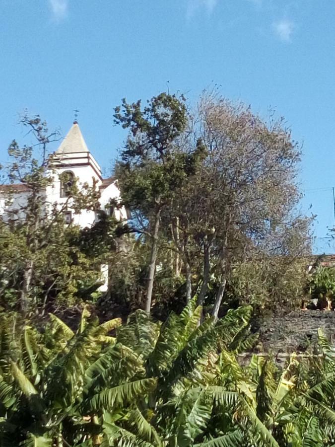 The House Villa Funchal  Exterior photo