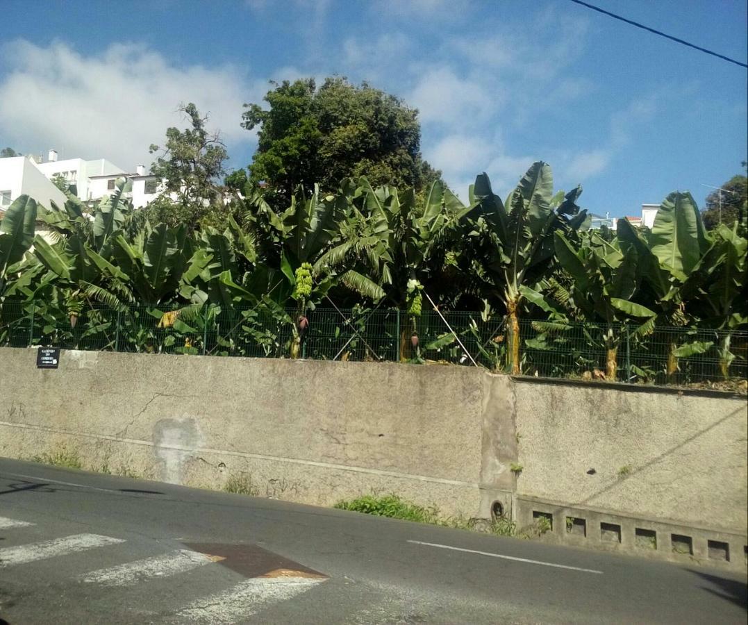 The House Villa Funchal  Exterior photo